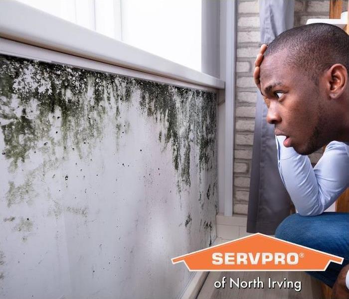 Top 5 Effective Actions to Take to Prevent Mold